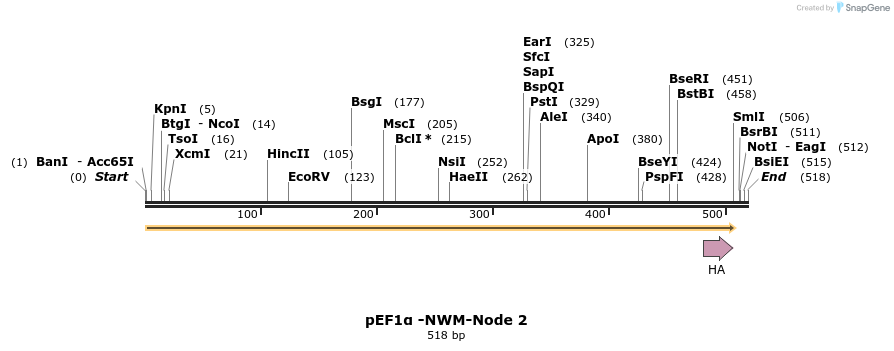 298495_map