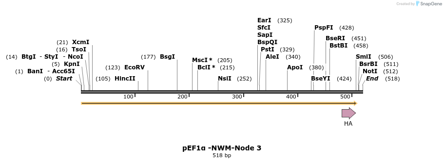 298496_map