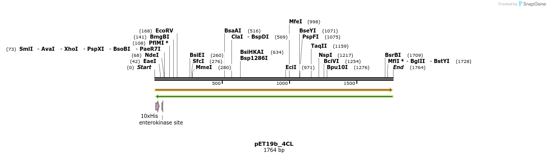 298525_map