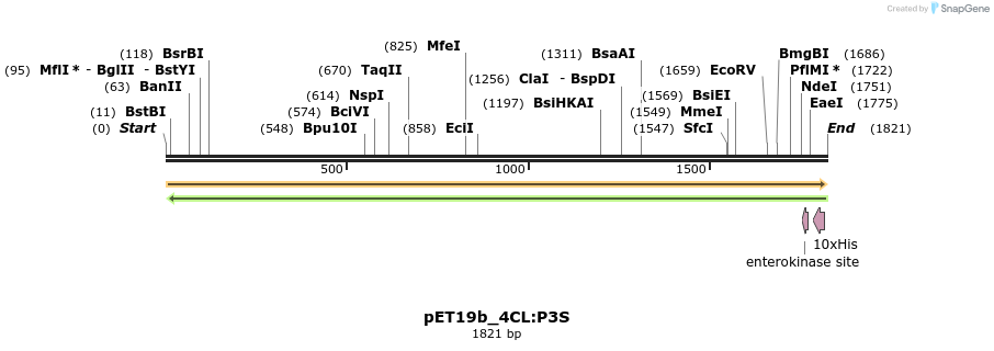 298526_map