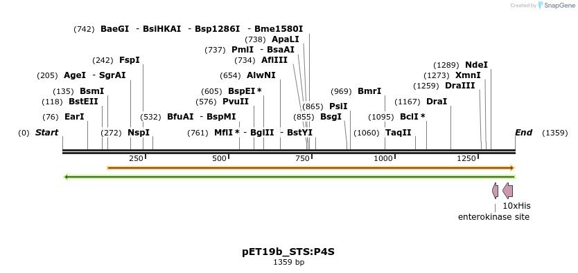 298527_map