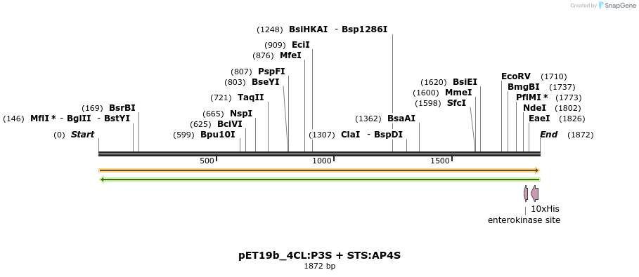 298528_map