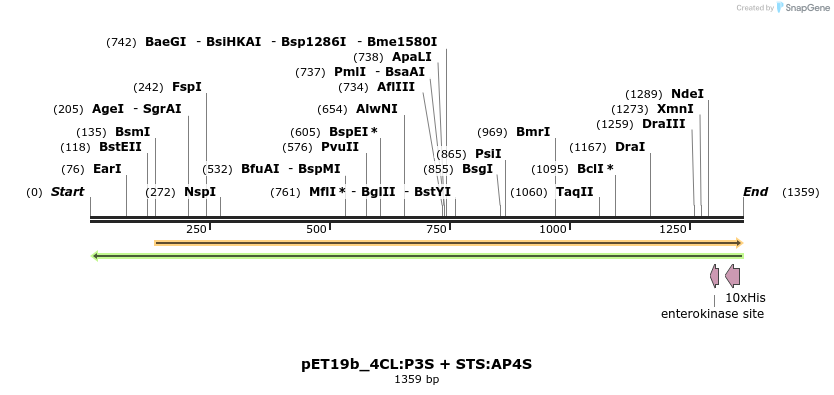 298529_map