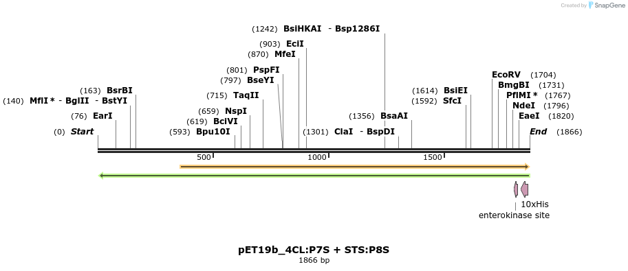298530_map