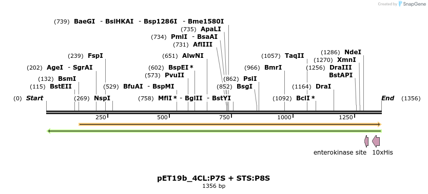 298531_map