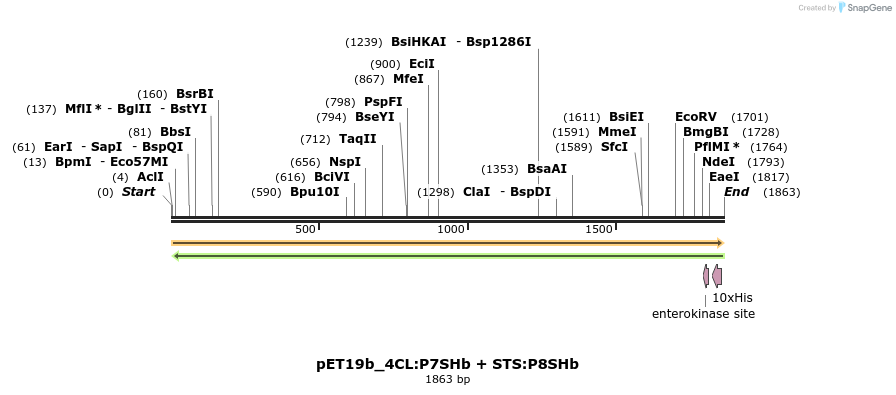 298532_map