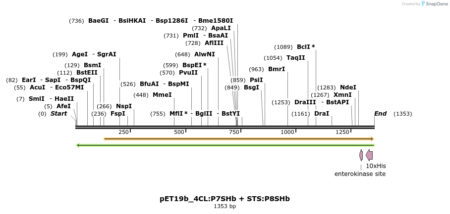 298533_map