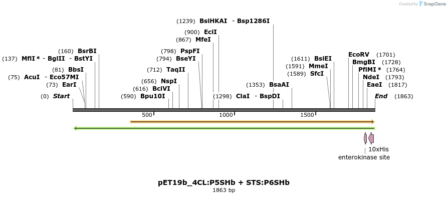 298534_map