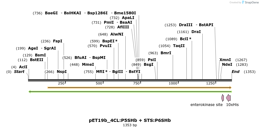 298536_map