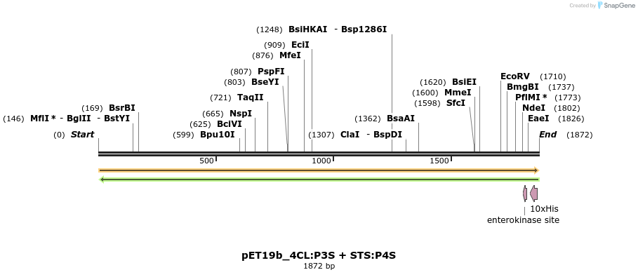298537_map