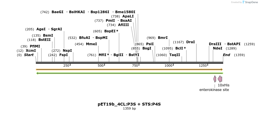 298538_map
