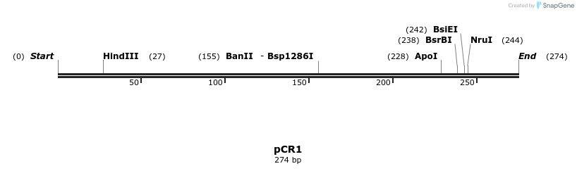 298557_map