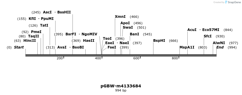 298595_map