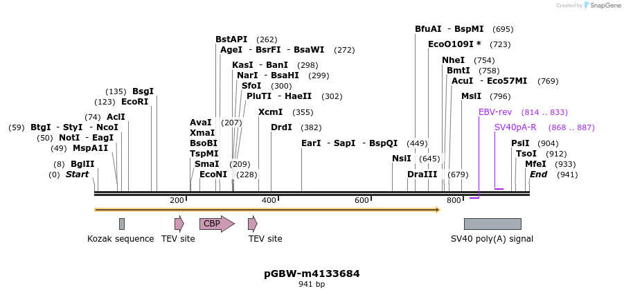 298596_map