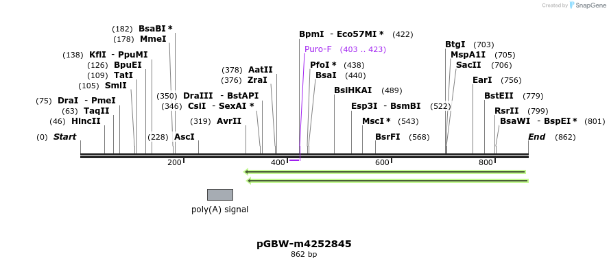 298597_map