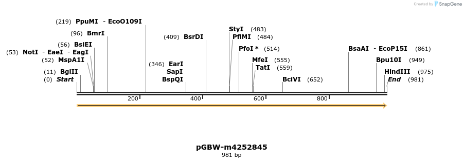 298598_map