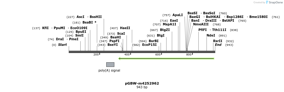 298601_map