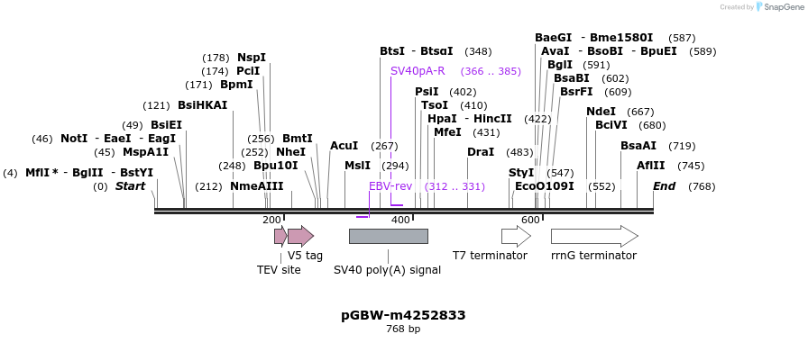 298604_map