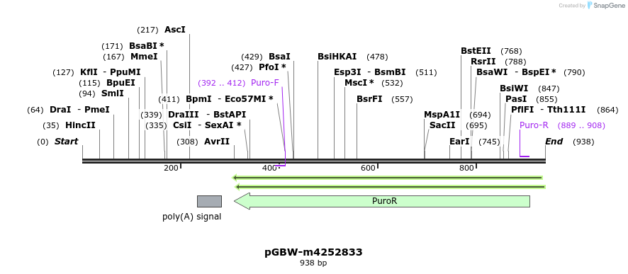 298605_map