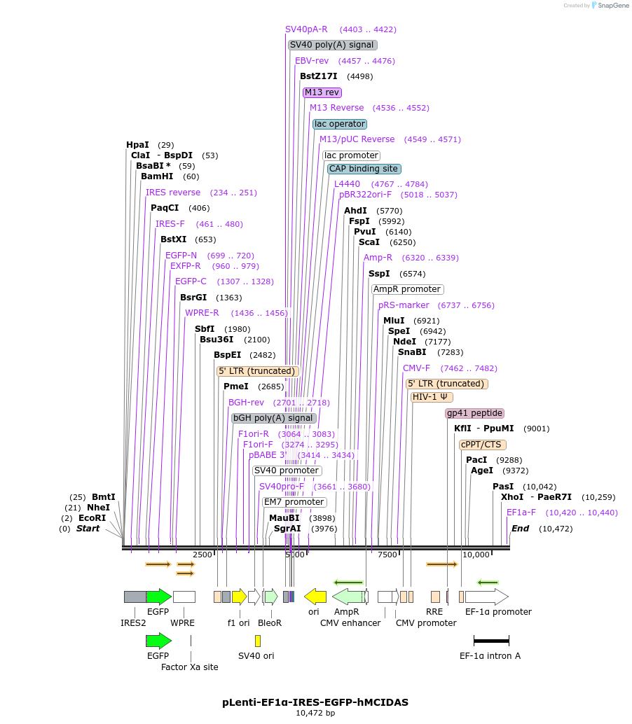 298681_map