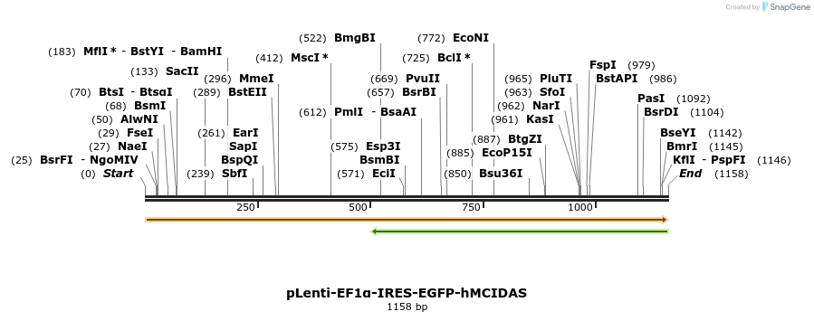 298682_map