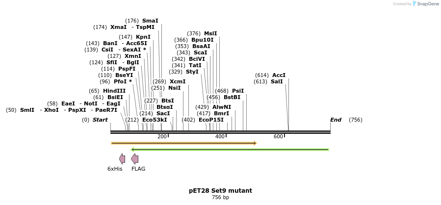 29870_map