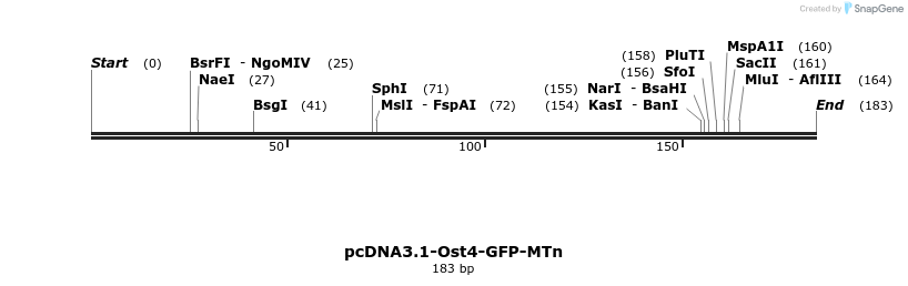 298703_map