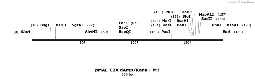 298705_map