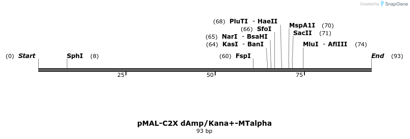 298707_map