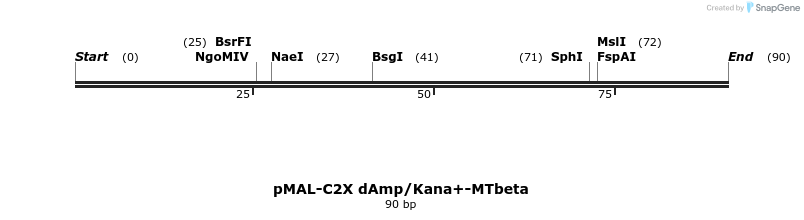 298708_map