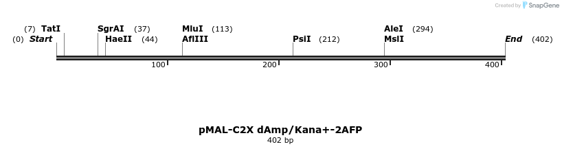 298709_map