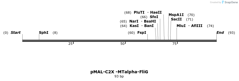 298712_map