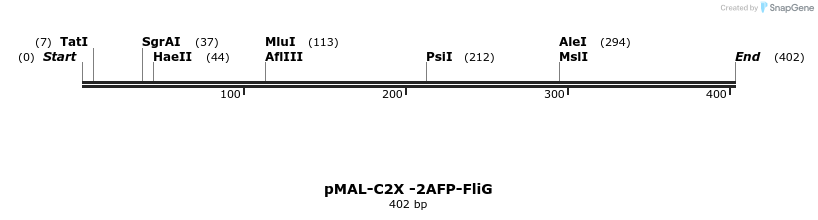 298713_map