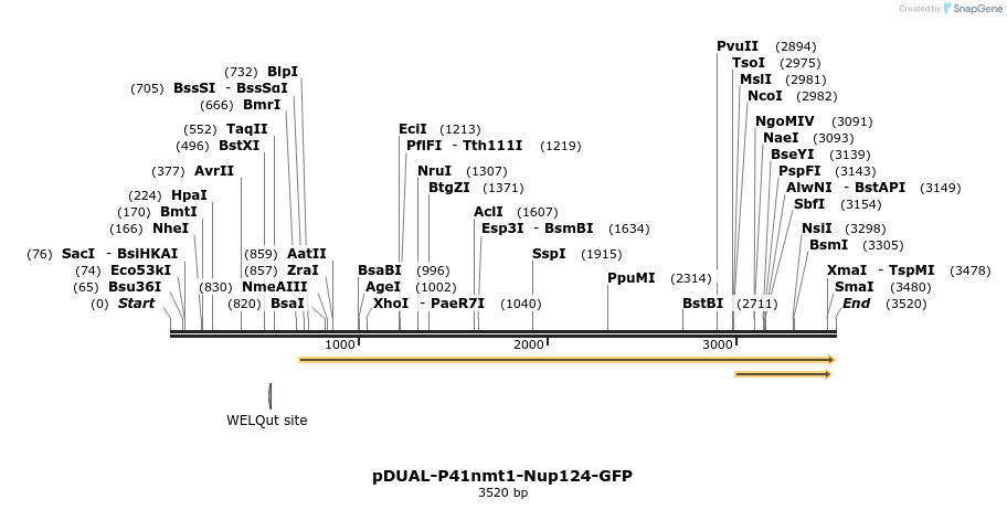 298715_map