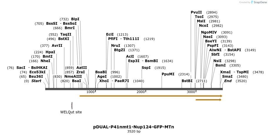 298716_map