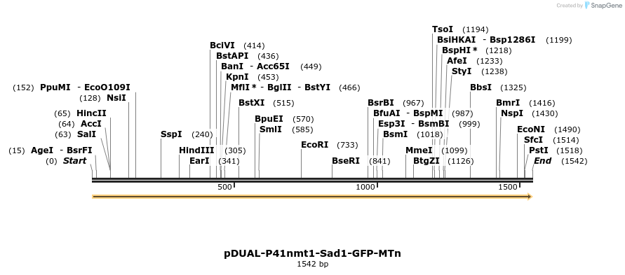 298718_map
