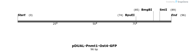 298719_map