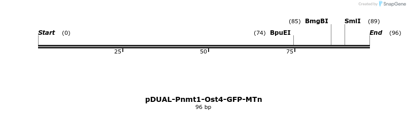 298720_map