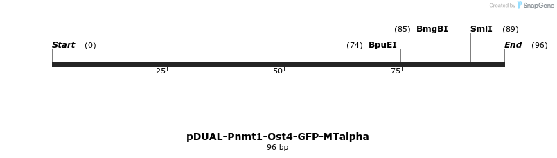 298721_map