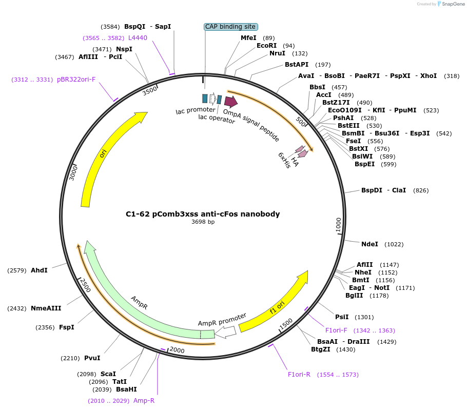 298741_map