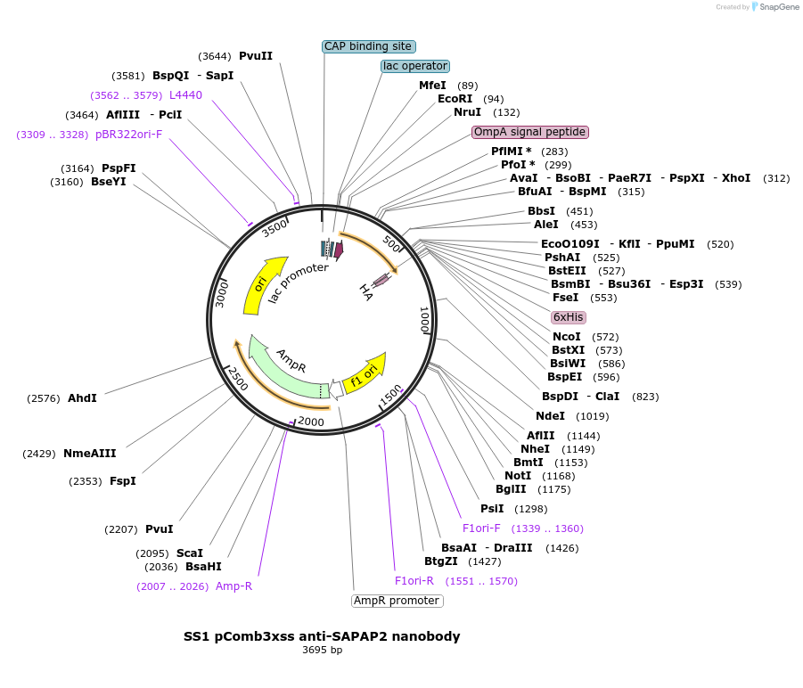 298750_map