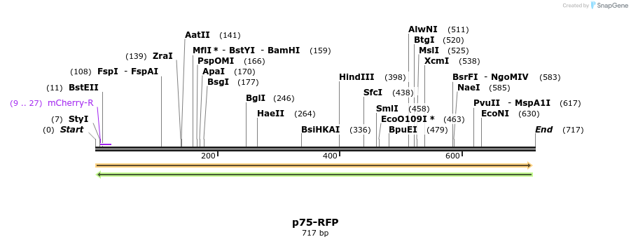 29880_map