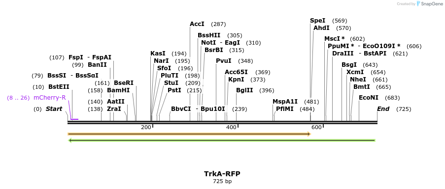 29881_map