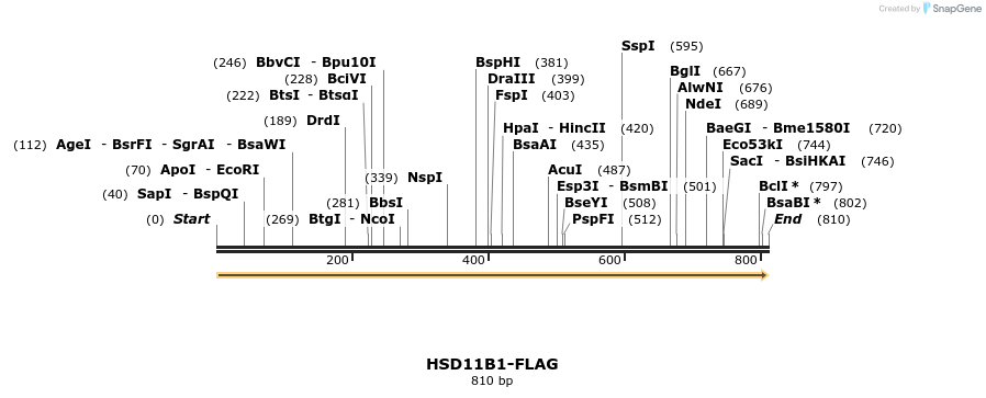 29884_map