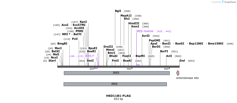 29885_map