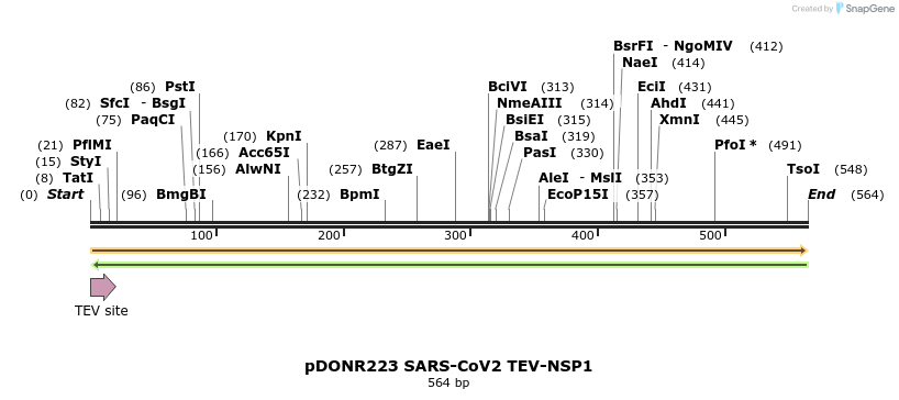 298869_map