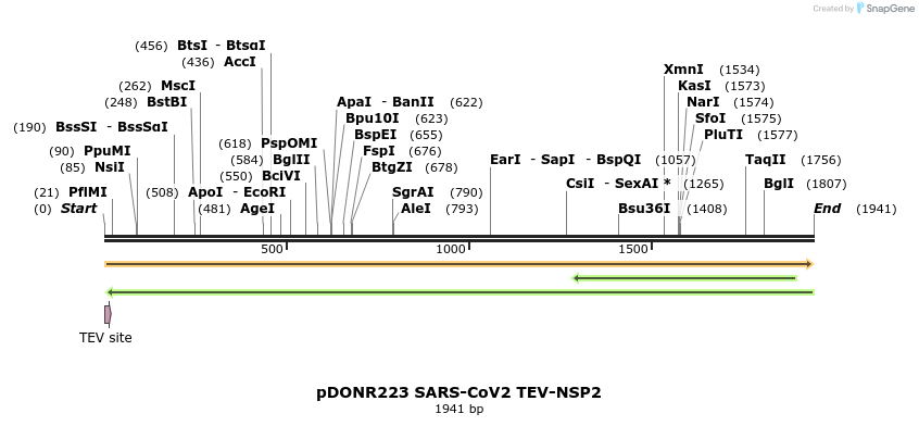 298870_map