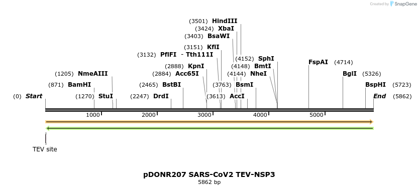 298871_map