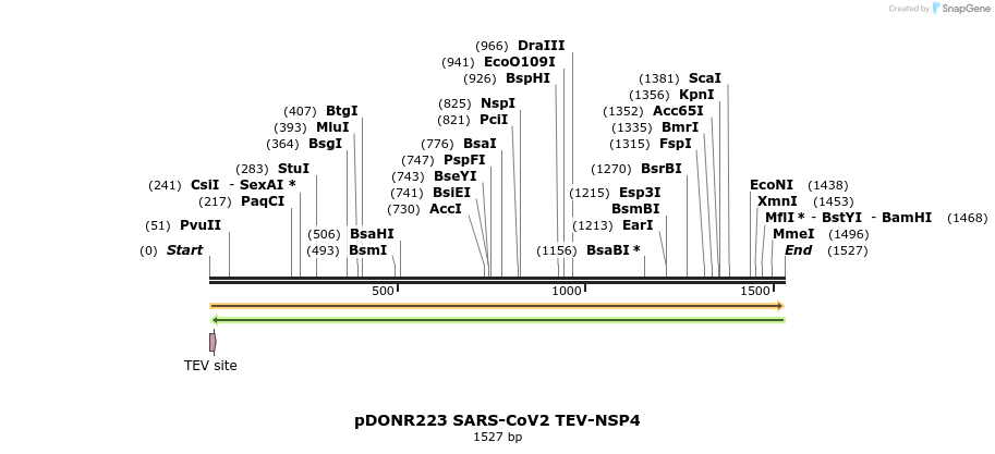 298872_map