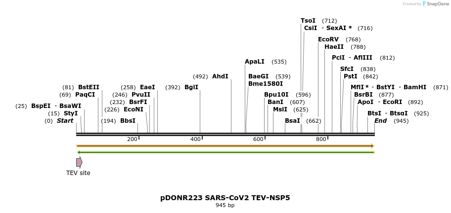 298873_map